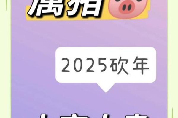2007年属猪在2025年学业 2025属猪血光之灾