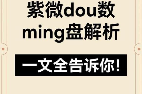 2025年4月17日亥时男命紫微斗数全解盘