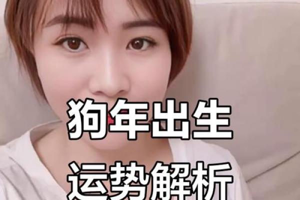 2025属狗人的运势_2025年属狗人运势详解财运事业感情全解析 2025属狗人的运势_2025年属狗人运势详解财运事业感情全解析