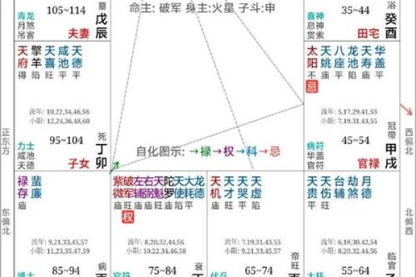 2025年4月18日戌时男命紫微斗数全解盘