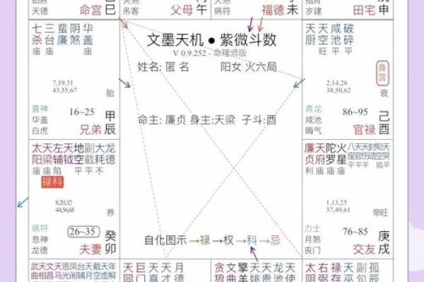 2025年4月26日辰时女命紫微斗数全解盘