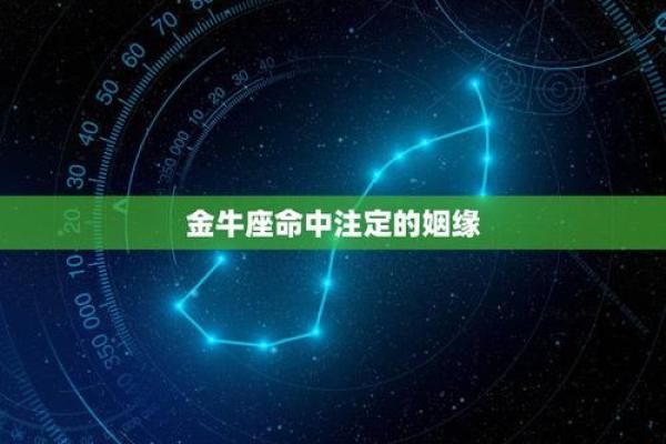 金牛座命中注定的人