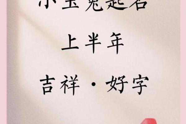 10月份出生的属兔男孩该怎样取名字姓名