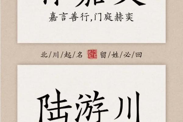 2019年3月30号巳时出生的男孩起名方法姓名