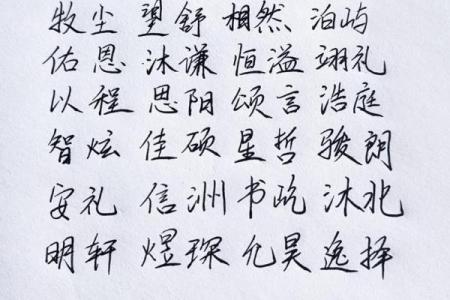 2019年3月26号亥时出生的男孩要怎么起名字姓名