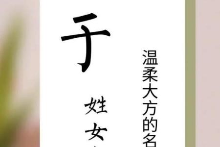 于姓男孩名字大全-于姓男孩起名字大全-于姓名字大全姓名