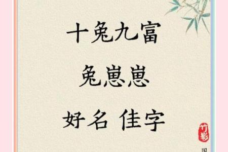 10月份出生的属兔男孩该怎样取名字姓名