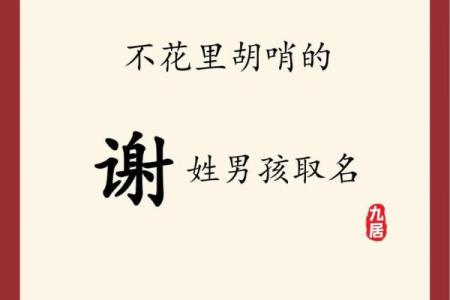 2019年3月30号巳时出生的男孩起名方法姓名