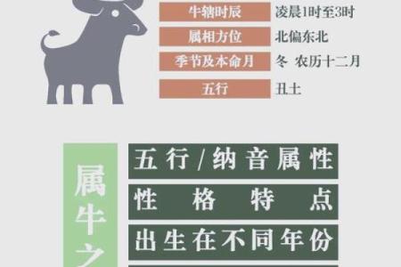 农历四月出生属牛女孩字起名大全,女孩命运解析姓名