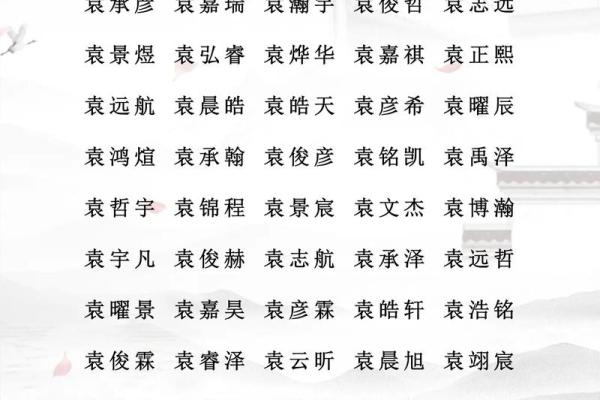 2019年3月20号未时出生的男孩起名方法姓名