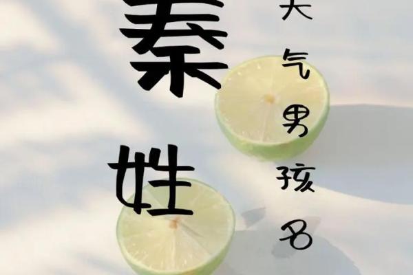 秦姓男孩名字大全-秦姓男孩起名字大全-秦姓名字大全姓名