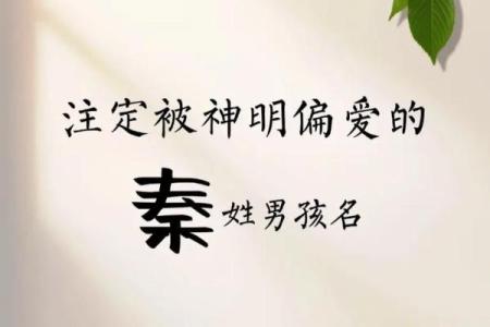 秦姓男孩名字大全-秦姓男孩起名字大全-秦姓名字大全姓名
