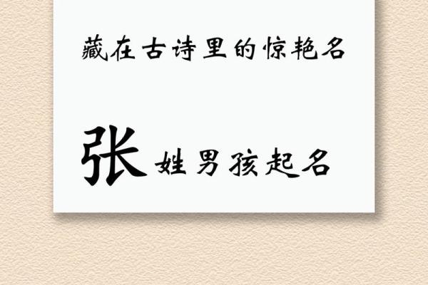 2019年4月24号丑时出生的男孩如何起名姓名
