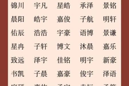 2019年6月17号丑时出生的男孩应该起什么样的名字姓名