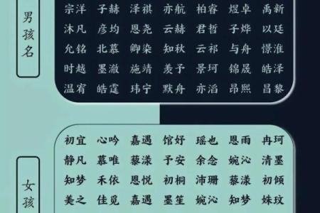 2019年5月9号丑时出生的男孩起名时要注意什么姓名