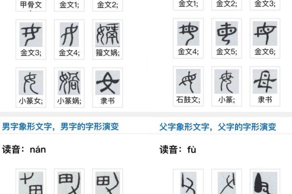 康熙字典15画的字-姓名学-华易算命网姓名