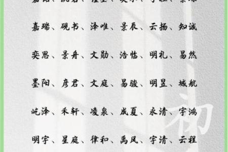 11月份出生的属龙男孩该怎样取名字姓名