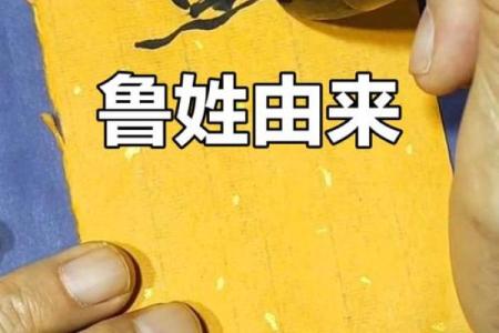 鲁姓女孩名字大全-鲁姓女孩起名字大全-鲁姓名字大全姓名