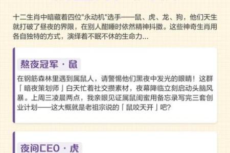 凌晨3点出生的属虎男孩起什么名，用什么字姓名